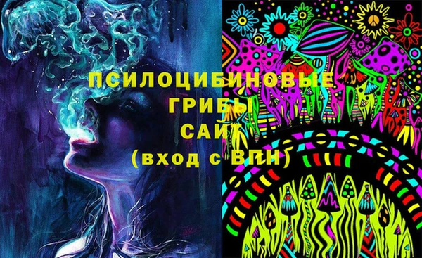 дурь Абаза