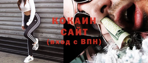 стаф Абинск