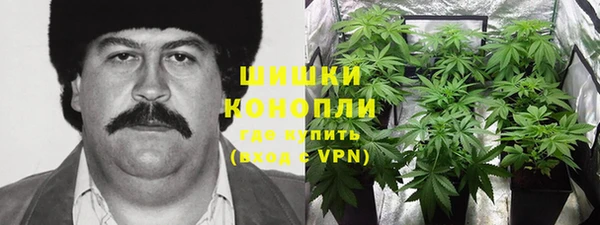 ешки Алексин