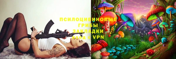 ешки Алексин