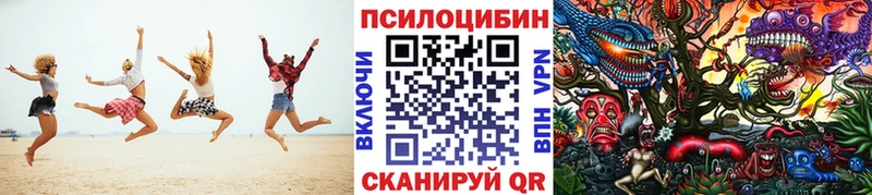 Галлюциногенные грибы мухоморы  omg зеркало  Змеиногорск 
